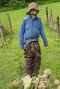 Scarecrow at the Johnson Farm at the Peaks of Otter